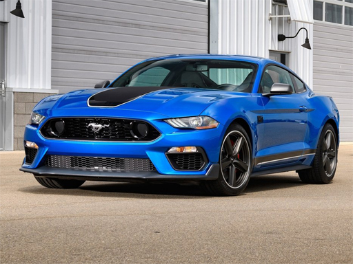 Puzzle Mustang Fit 1 2021