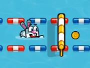 Activități sportive pentru cățeluși